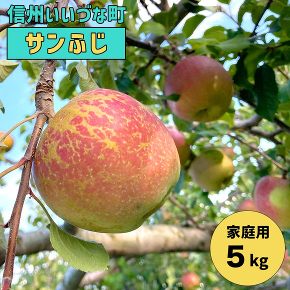 りんご 長野県飯綱町産 サンふじ 家庭用 5kg